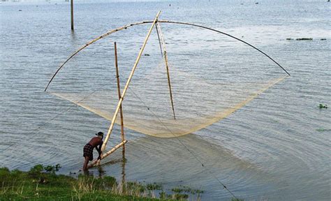 Lift Net Fishing .